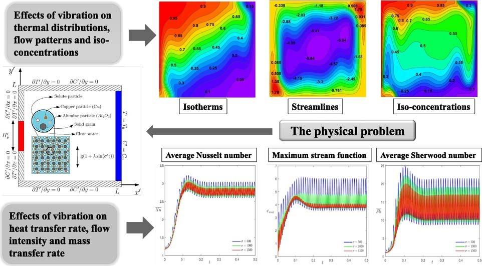 Computational Thermo Solutal Problems
